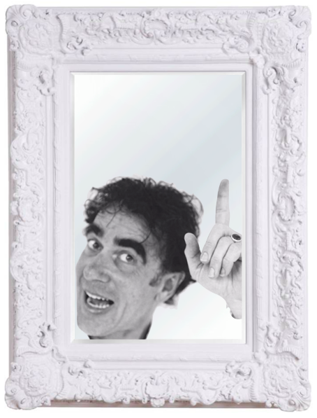 OrganisatieSpiegelaar